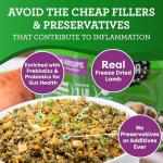 Dr. Harvey's Specialty Diet Limited Ingredient - Grain Free Dog Food for Dogs with Sensitivities - Lamb Recipe (5 Pounds)