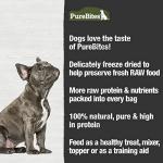 PureBites Beef Freeze Dried Dog Treats, 1 Ingredient, Made in USA, 44oz