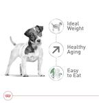Royal Canin Size Health Nutrition Small Aging 12+ Senior Dry Dog Food, 2.5 lb Bag