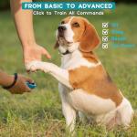 HoAoOo Pet Clicker for Dogs/Cats/Horses/Birds or Other Animals - Finger Clickers for Training (Black+Blue)