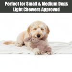 SPOT Cuddle Bunnies Plush Dog Toy with Squeaker