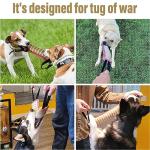 Striped Dog Tug Toy for Training and Play