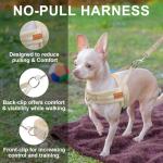 BEAUTYZOO Dog Harness for Small Dogs, No Pull Dog Harness and Leash Set, Soft Escape Proof Puppy Vest Harness with Handle, Reflective Lightweight Step in Harness for Girl Boy Dogs, Beige S