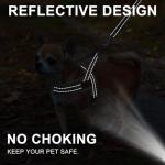 BEAUTYZOO Dog Harness for Small Dogs, No Pull Dog Harness and Leash Set, Soft Escape Proof Puppy Vest Harness with Handle, Reflective Lightweight Step in Harness for Girl Boy Dogs, Beige S