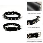 Spiked Dog Collar Leather Studded Pet Collar for Small Medium Large Dogs, Durable Outdoor Safety Collar with Secure Rivets, Adjustable & Comfortable for Daily Walks & Training Black S