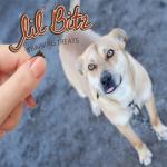 Lil' Bitz Soft & Chewy Training Treats for Dogs, Bite Size Reward Treats for Training & Positive Reinforcement, Grain Free Dog Treats Made with Real Beef, Hickory Smoked Beef Flavor, 4 oz Bag