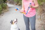 Chuckit! Mini Fetch Ball Launcher for Dogs