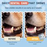 Pets Are Kids Dog Dental Powder | Premium Breath Freshener with OraCMU™ Probiotic for Gut Support | Easy-to-Mix Dog Teeth Cleaning Powder | Fights Bad Breath, Tartar & Plaque | Bacon Flavor, 60 Scoops