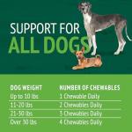 Petnc Natural Care Brewers Yeast Dog Skin and Coat Supplement (250 Chewables), With B Vitamins, Antioxidants & Minerals, Promotes Healthy Skin & Glossy Coat, For Dogs 10 Lbs & Over