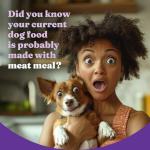 Halo Holistic Small Breed Dog Food, Cage Free Chicken & Brown Rice Recipe, Healthy Grains Dry Dog Food, Complete Digestive Health, 3.5 lb Bag