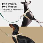 VETRESKA Dog Harness and Leash Set, Easy Walk Dog Harness for Large Medium Dogs, No Pull Puppy Harness for Walking and Training, Adjustable, Anti-Twist Leash (Santal Forest, L)