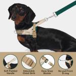 VETRESKA Dog Harness and Leash Set, Easy Walk Dog Harness for Large Medium Dogs, No Pull Puppy Harness for Walking and Training, Adjustable, Anti-Twist Leash (Santal Forest, L)
