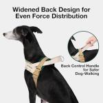 VETRESKA Dog Harness and Leash Set, Easy Walk Dog Harness for Large Medium Dogs, No Pull Puppy Harness for Walking and Training, Adjustable, Anti-Twist Leash (Santal Forest, L)