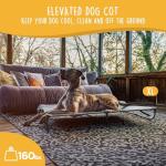 CANINE CANYON Daisy Cot, XL Foldable Elevated Dog Bed, Portable Raised Outdoor Folding Dog Cots, Cooling, Chew Proof, Waterproof, Heavy Duty Up to 160 lbs for Camping/Home, Grey, 49"x 33"x7"