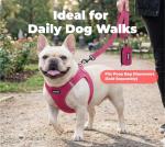 Best Pet Supplies Voyager Reflective Dog Leash or Collar with Neoprene Handle, for Small, Medium, and Large Breed Puppies, Cute and Heavy Duty for Walking, Running and Training - Fuchsia (Leash), S