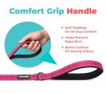 Best Pet Supplies Voyager Reflective Dog Leash or Collar with Neoprene Handle, for Small, Medium, and Large Breed Puppies, Cute and Heavy Duty for Walking, Running and Training - Fuchsia (Leash), S