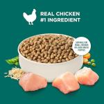 Nutrish Rachael Ray Dry Dog Food Puppy, Real Chicken & Brown Rice Recipe, 5 lb. Bag