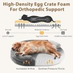 JOEJOY XL Orthopedic Dog Beds Large Sized Dog, Extra Large Washable Waterproof Oval Large Dog Bed with Removable Cover, Egg-Crate Foam Pet Bed with Bolster & Non-Skid Bottom, Dark Grey, 42''x31''