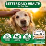 Flea and Tick Prevention for Dogs Pills - 250 Soft Chews - Natural Dog Flea & Tick Control - Oral Defense Treatment for Dogs Supplement - Vet Formulated Chews - All Breeds & Ages - Made in USA