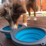 Loving Pets 73807992: Travel Double Diner Dog Bowl, Blue Md