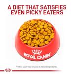 Royal Canin Veterinary Diet Canine Small Hydrolyzed Protein Adult Dry Dog Food, 8.8 lb Bag