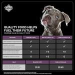 Diamond Puppy Dry Dog Food 31/20 for All Life Stages Including Puppies and Pregnant and Nursing Adult Dogs 20lb Bag