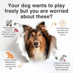 Dog Flea and Tick Prevention Allergy Chews - Omega 3 Skin and Coat Supplement,Immune Support,Natural Yeast,Itching & Licking Relief Treatment Chewable,Bites,Chews for Dogs Itching-200 Count