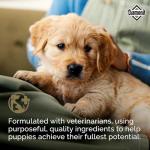 Diamond Puppy Dry Dog Food 31/20 for All Life Stages Including Puppies and Pregnant and Nursing Adult Dogs 20lb Bag