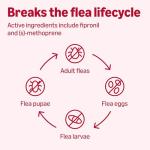 Amazon Basics Preventative Flea and Tick Topical Treatment for Dogs, X-Large (89-132 lbs), Fast Acting and Long Lasting, 6 Counts, Packaging May Vary