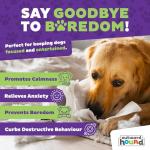 Outward Hound by Nina Ottosson Dog Casino Treat Puzzle Enrichment Toy, Level 3 Advanced, Turquoise