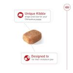 Royal Canin Breed Health Nutrition Chihuahua Puppy Dry Dog Food, 2.5 lb Bag