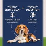 Natural Balance Limited Ingredient Adult Dry Dog Food with Vegan Plant Based Protein and Healthy Grains, Vegetarian Recipe, 4 Pound (Pack of 1)