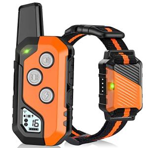 Waterproof Dog Training Collar with Remote Control