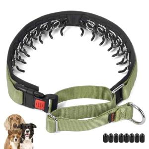 Mayerzon No Pull Martingale Dog Collar - Green