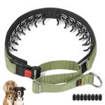 Mayerzon No Pull Martingale Dog Collar - Green