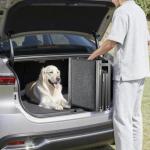 VEVOR Dog Ramp for Cars, 63" L x 17" W, Folding Pet Ramps for Medium & Large Dogs up to 250lbs, Pet Stair Ramp with Non-Slip Felt Rug Surface, Portable Outdoor Dog Car Ramps for SUV & Truck