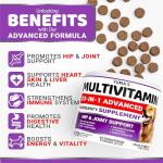 2-Pack Dog Multivitamin Chewable with Glucosamine - Dog Vitamins and Supplements - Senior & Puppy Multivitamin for Dogs - Hip & Joint Support - Immune Health, Skin, Heart, Digestion, Probiotics