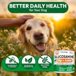 Glucosamine for Dogs - 250 Chews with Chondroitin - Hip and Joint Supplement with MSM - Turmeric - Omega 3 - Joint Pain Relief - Advanced Support for Dog Health - For Large, Medium & Small Breeds