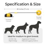 Wulwulth Interactive Dog Toys Tug of War - Dog Enrichment Stimulating Chew Toy with Suction Cup to Keep Them Busy for Aggressive Chewers, Puppy Teething Puzzle Rope Toy for Small Medium Large Dogs