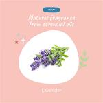 kin+kind Dog Deodorizing Spray - Safe, Natural, & Easy to Use Pet Odor Eliminator, Premium Cat/Dog Detangler Spray Formula Made w/Aloe, Dog Deodorizer for Smelly Dogs/Cats Made in the USA (12 fl oz)