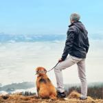 Aheasoun Adjustable No Pull Dog Training Collar