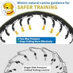 Mayerzon No Pull Martingale Dog Collar - Green