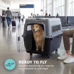 SportPet Airline Compliant X-LARGE 32.25" Travel Dog Kennel-Durable Plastic Airline Pet Carrier w/Removable Wheels & Food Bowls, Collapsible Indoor/Outdoor Dog Kennel, Dogs up to 32"L & 23"H-Dark Gray