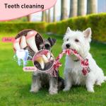 SZEE 2Pcs Dog Rope Toy for Small Breeds, 14 in 3 Knots Chew Rope Toys for Dogs, Pull Toy for Tug of War, Energy Release, Boredom Relief and Teeth Cleaning (Pink & Orange)