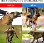 Aheasoun Adjustable No Pull Dog Training Collar