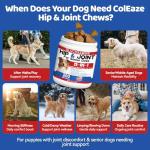 Glucosamine for Dogs Hip and Joint Supplement - 25-in-1 Hip and Joint Chews for Dog with MSM, Green Lipped, Turmeric, Yeast, Omegas, Vitamins| Mobility Support for All Ages & Sizes Dogs,200 ct