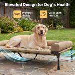 Veehoo Cooling Elevated Dog Bed Add Removable Waterproof Bolster Cushion Mat, Raised Pet Cot with Breathable Teslin Mesh, No-Slip Feet, Dog Couch Bed for Indoor Outdoor, 49x33inches, Beige, CWC2331B