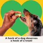 Heckova! Barkin’ Good Beef - Freeze Dried Raw Dog Treats, Human Grade Beef Heart and Liver for Training, Meal Topper - High Protein (24g Per Cup) - Training Treats for Dogs, Made in The USA, 4oz Bag