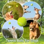 GLECTG 9 Pack 2 Inch Mini Tennis Balls for Small Dogs, Interactive Dog Toys for Fetch Training & Exercise, Fits 2-Inch Dog Ball Launchers