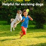 GLECTG 9 Pack 2 Inch Mini Tennis Balls for Small Dogs, Interactive Dog Toys for Fetch Training & Exercise, Fits 2-Inch Dog Ball Launchers